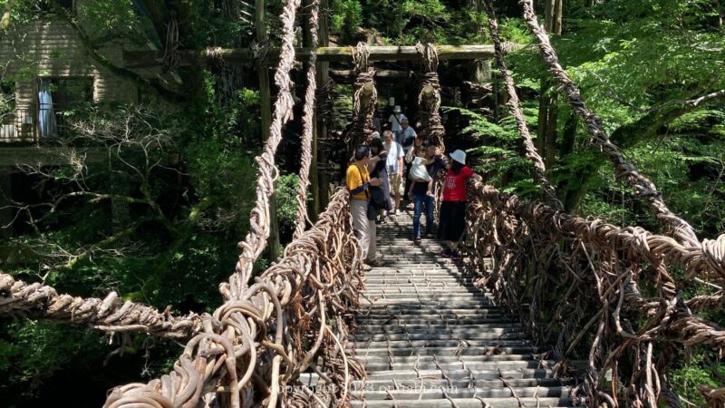 祖谷のかずら橋