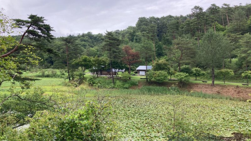 黒沢湿原