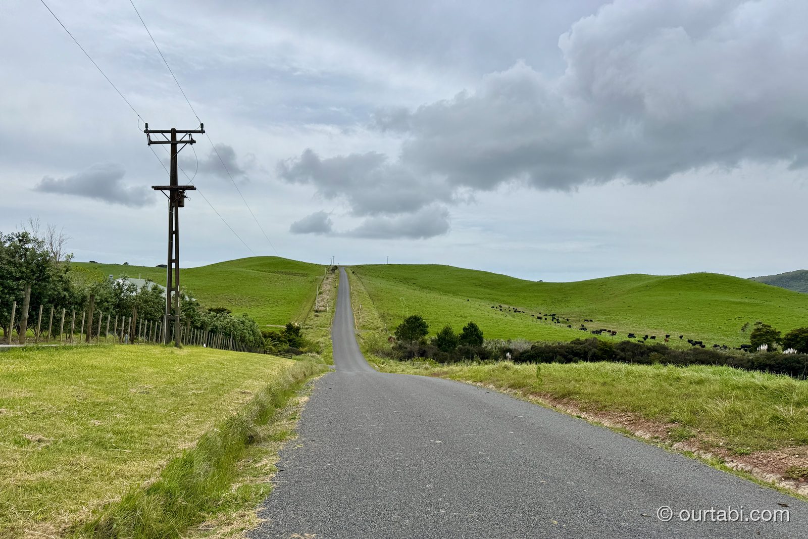 ワイヘケ島の丘を越えてまっすぐ伸びる道路