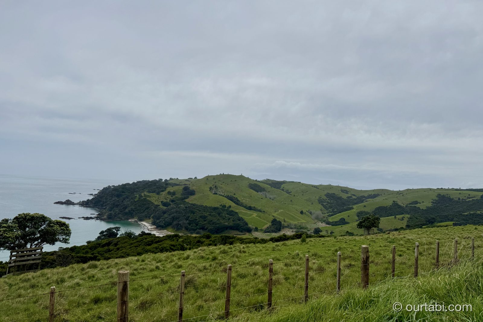 ワイヘケ島東部の海に突き出した岬と牧草地