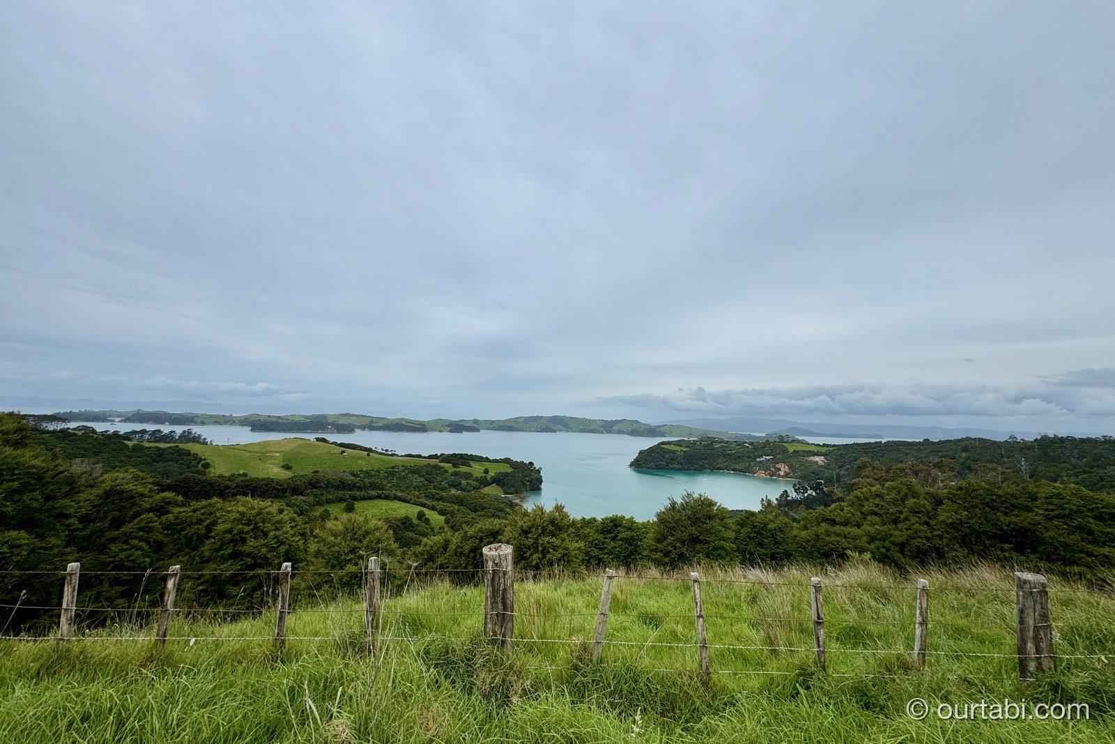 ハウラキ湾に浮かぶ島々を望む景色