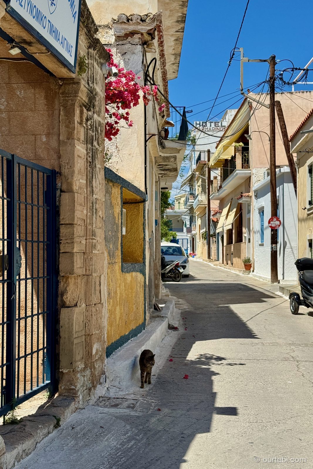 エギナ島の路地で寝そべる猫